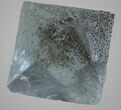 Fluorite Octahedron (Chalcopyrite Inclusions) - Illinois #36151-2